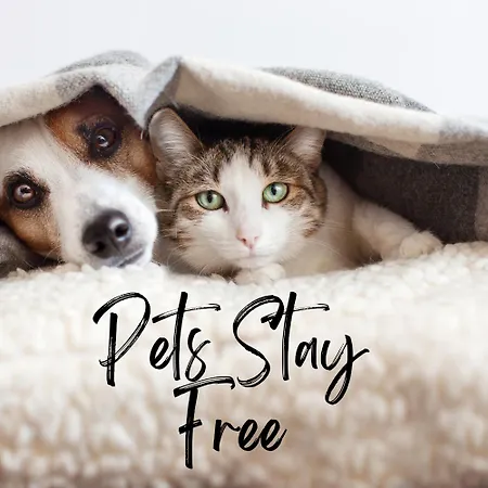 Chateau Isigny, Ideal Pour Les Familles Avec Enfants Et Les Animaux De Compagnie, Situe A Proximite Du Mont Saint-Michel Bed & Breakfast Isigny-le-Buat