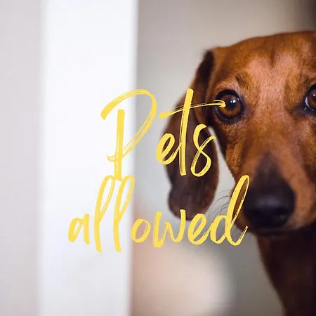 לינה וארוחת בוקר Chateau Isigny, Sejour En Famille, Enfants & Chiens Bienvenus, Family Holidays, Children & Dogs Welcome