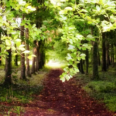 Chateau Isigny, Sejour En Famille, Enfants & Chiens Bienvenus, Family Holidays, Children & Dogs Welcome לינה וארוחת בוקר Isigny-le-Buat