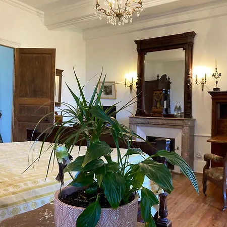 לינה וארוחת בוקר Chateau Isigny, Sejour En Famille, Enfants & Chiens Bienvenus, Family Holidays, Children & Dogs Welcome Isigny-le-Buat