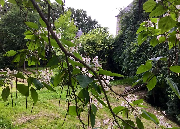 Chateau D Isigny Sejour Romantique Et Nature Pres Du Mont-Saint-Michel 3*