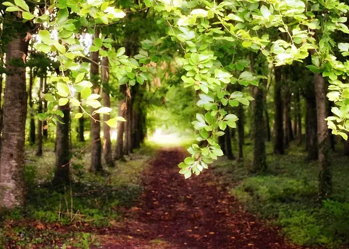 Chateau D Isigny Sejour Romantique Et Nature Pres Du Mont-Saint-Michel فندق مبيت وإفطار Isigny-le-Buat